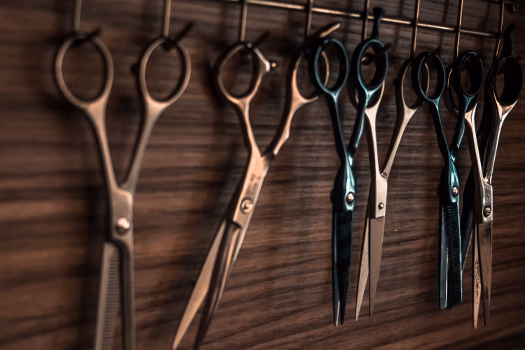 img of scissors on a rack